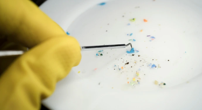 microplastics particles being examined th a metal tool on a white plate
